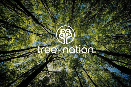 Tree Nation