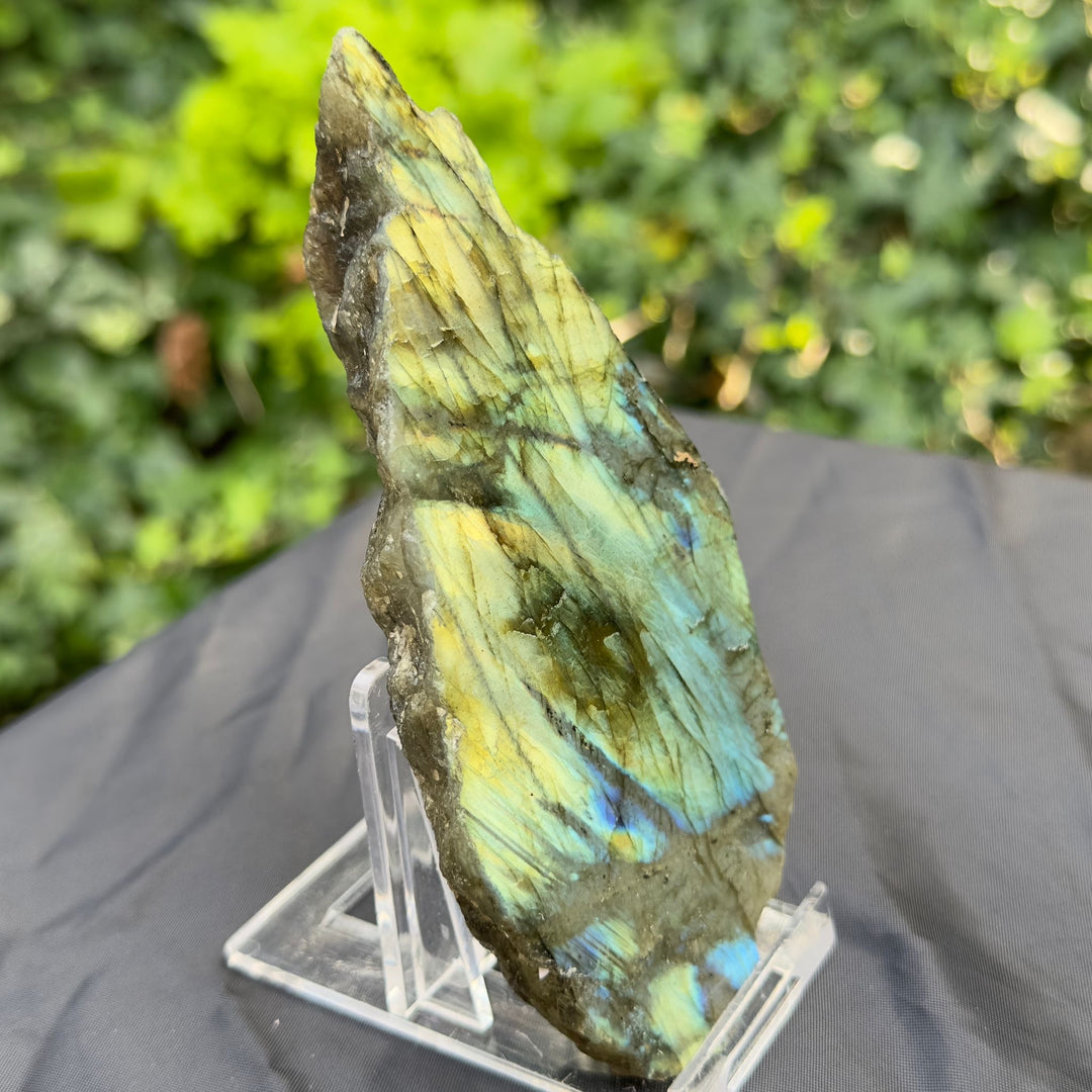 Labradorite Crystal