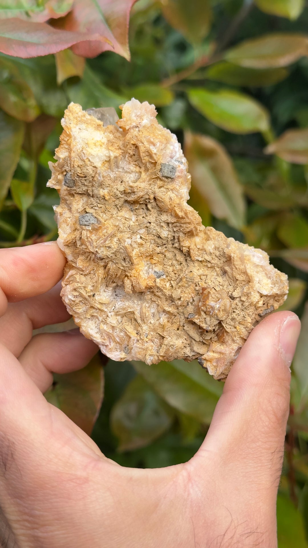 Vanadinite Specimen￼