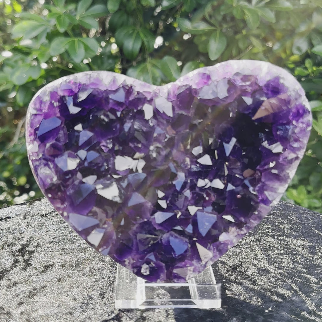 Extra quality, Amethyst Hart